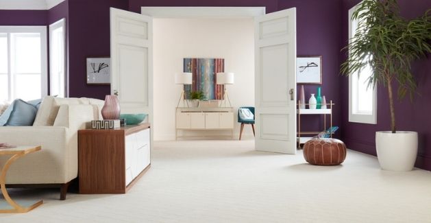 contemporary living room and entryway with dark purple walls and light beige carpet, best caroet for the room.